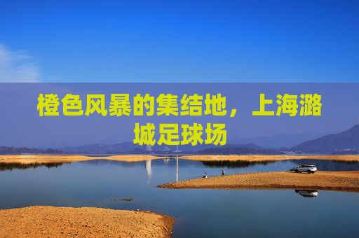橙色风暴的集结地,上海潞城足球场