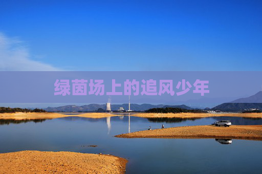 绿茵场上的追风少年