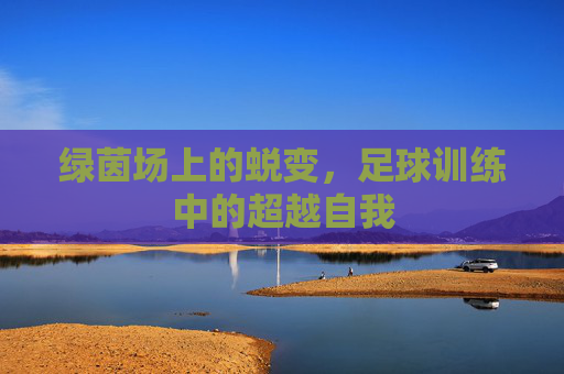 绿茵场上的蜕变，足球训练中的超越自我