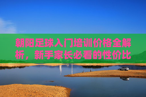 朝阳足球入门培训价格全解析，新手家长必看的性价比指南
