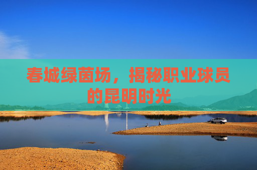 春城绿茵场,揭秘职业球员的昆明时光