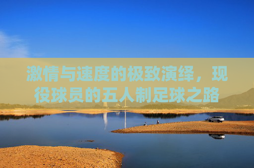 激情与速度的极致演绎,现役球员的五人制足球之路