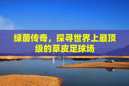 绿茵传奇,探寻世界上最顶级的草皮足球场