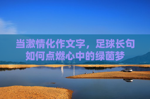 当激情化作文字,足球长句如何点燃心中的绿茵梦