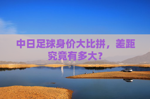 中日足球身价大比拼,差距究竟有多大?