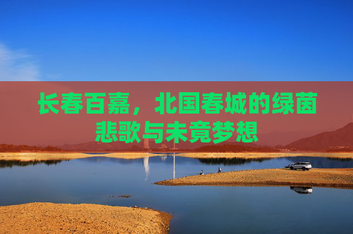 长春百嘉,北国春城的绿茵悲歌与未竟梦想