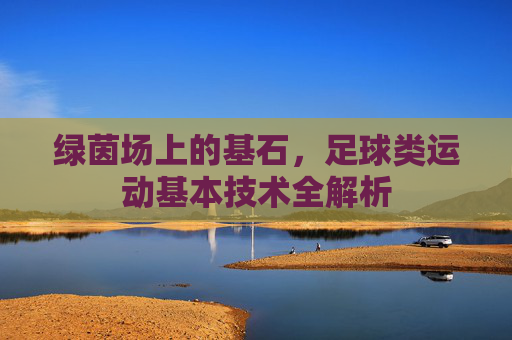 绿茵场上的基石,足球类运动基本技术全解析