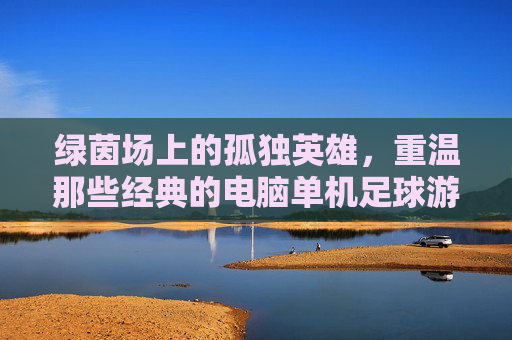 绿茵场上的孤独英雄,重温那些经典的电脑单机足球游戏
