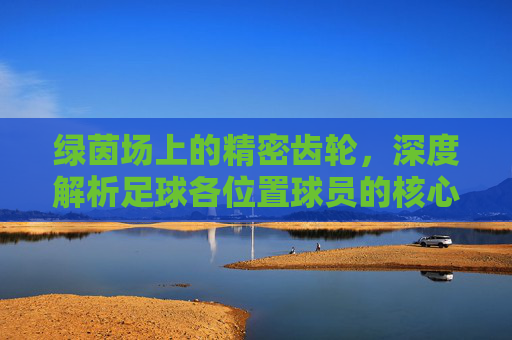 绿茵场上的精密齿轮,深度解析足球各位置球员的核心职责
