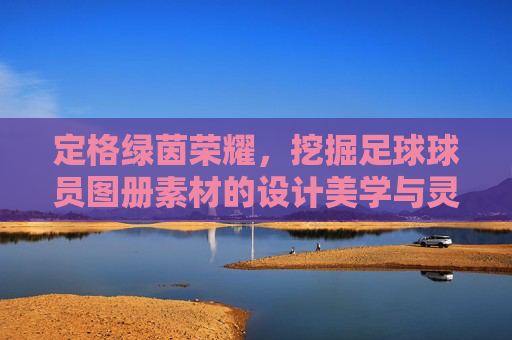 定格绿茵荣耀,挖掘足球球员图册素材的设计美学与灵感