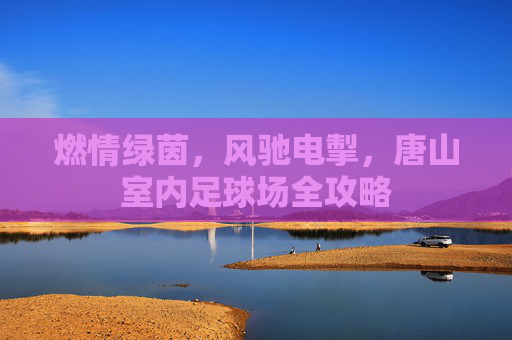 燃情绿茵,风驰电掣,唐山室内足球场全攻略