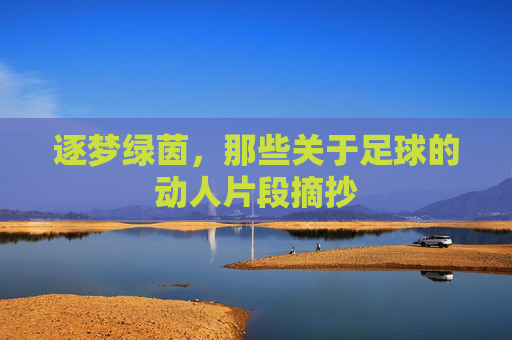 逐梦绿茵,那些关于足球的动人片段摘抄