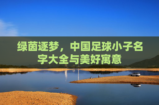 绿茵逐梦,中国足球小子名字大全与美好寓意