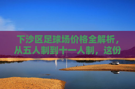 下沙区足球场价格全解析,从五人制到十一人制,这份攻略帮你省下球费