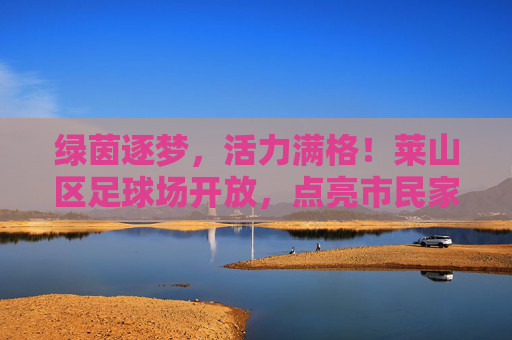 绿茵逐梦,活力满格!莱山区足球场开放,点亮市民家门口的运动新地标