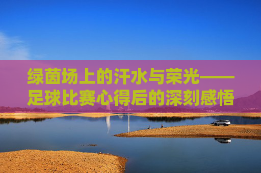 绿茵场上的汗水与荣光——足球比赛心得后的深刻感悟