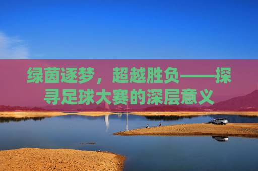 绿茵逐梦,超越胜负——探寻足球大赛的深层意义