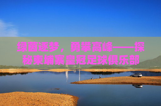 绿茵逐梦,勇攀高峰——探秘柬埔寨皇冠足球俱乐部