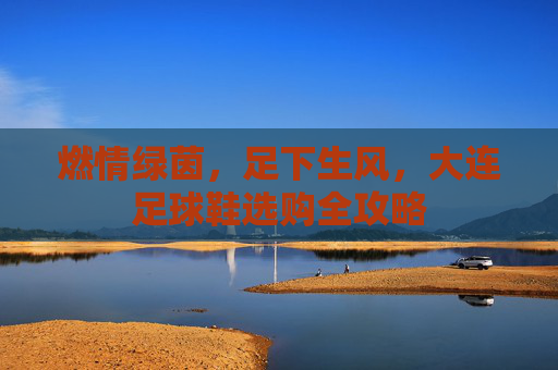 燃情绿茵,足下生风,大连足球鞋选购全攻略