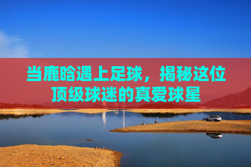 当鹿晗遇上足球,揭秘这位顶级球迷的真爱球星