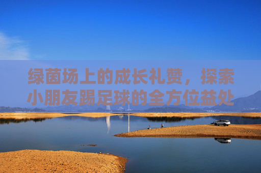 绿茵场上的成长礼赞,探索小朋友踢足球的全方位益处