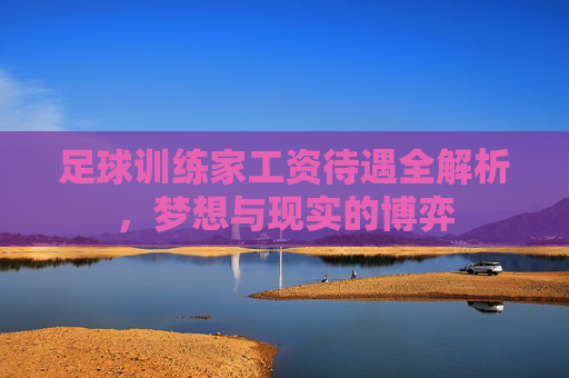 足球训练家工资待遇全解析,梦想与现实的博弈