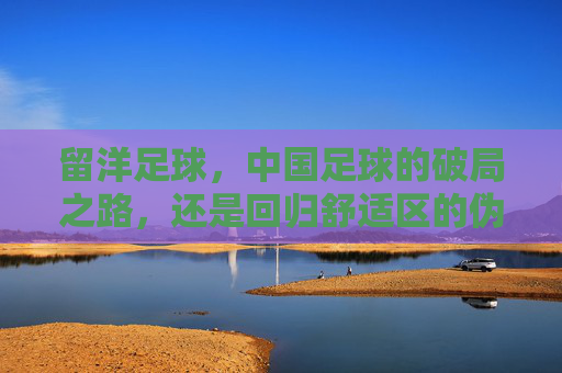 留洋足球,中国足球的破局之路,还是回归舒适区的伪命题?