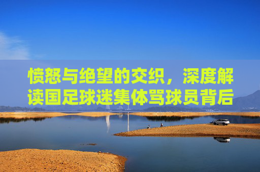 愤怒与绝望的交织,深度解读国足球迷集体骂球员背后的悲凉