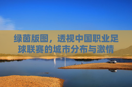绿茵版图,透视中国职业足球联赛的城市分布与激情