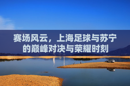 赛场风云,上海足球与苏宁的巅峰对决与荣耀时刻
