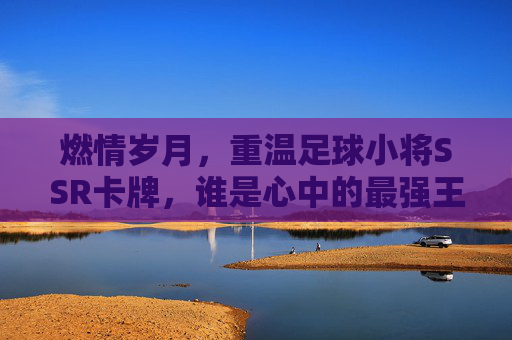 燃情岁月,重温足球小将SSR卡牌,谁是心中的最强王者?