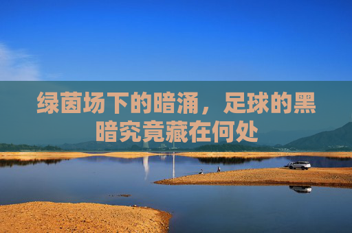 绿茵场下的暗涌,足球的黑暗究竟藏在何处