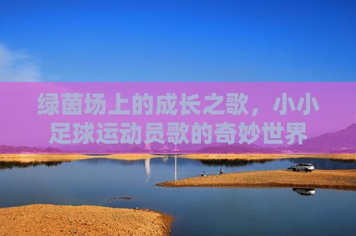 绿茵场上的成长之歌,小小足球运动员歌的奇妙世界