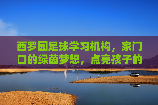 西罗园足球学习机构,家门口的绿茵梦想,点亮孩子的运动激情