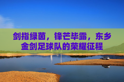 剑指绿茵,锋芒毕露,东乡金剑足球队的荣耀征程