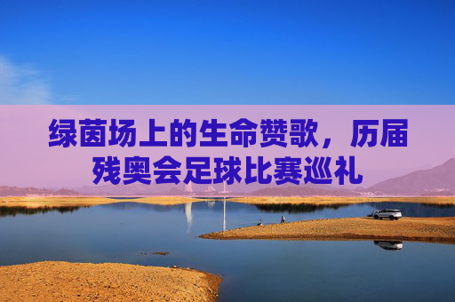 绿茵场上的生命赞歌,历届残奥会足球比赛巡礼