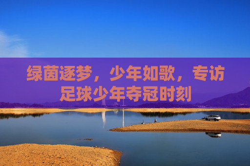 绿茵逐梦,少年如歌,专访足球少年夺冠时刻