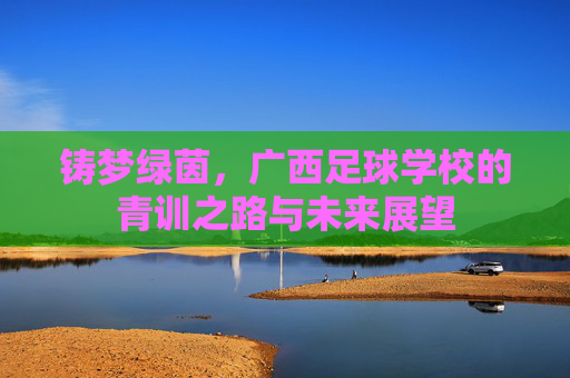 铸梦绿茵,广西足球学校的青训之路与未来展望