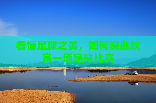 看懂足球之美,如何深度欣赏一场足球比赛
