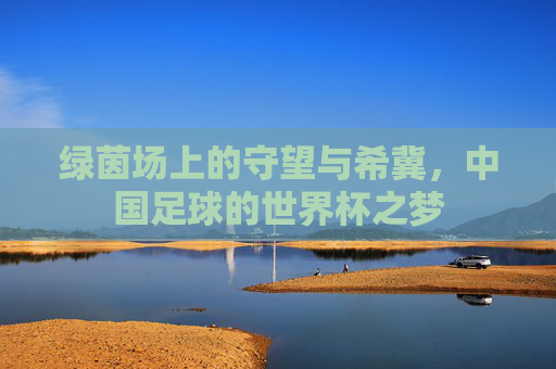 绿茵场上的守望与希冀,中国足球的世界杯之梦