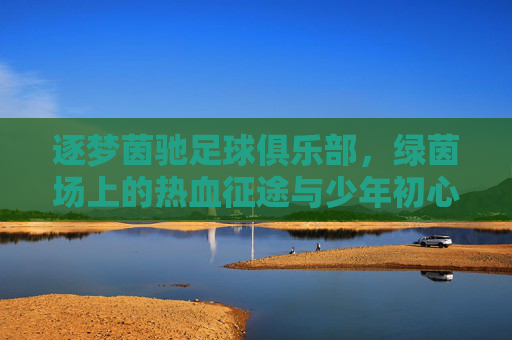 逐梦茵驰足球俱乐部,绿茵场上的热血征途与少年初心
