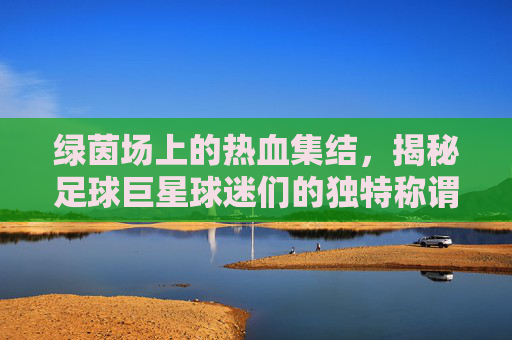 绿茵场上的热血集结,揭秘足球巨星球迷们的独特称谓