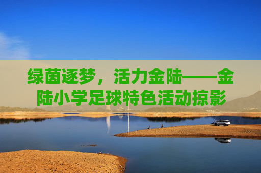 绿茵逐梦,活力金陆——金陆小学足球特色活动掠影