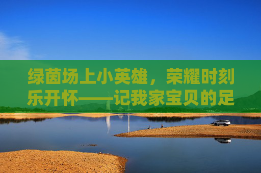 绿茵场上小英雄,荣耀时刻乐开怀——记我家宝贝的足球高光时刻