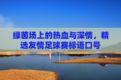 绿茵场上的热血与深情,精选友情足球赛标语口号