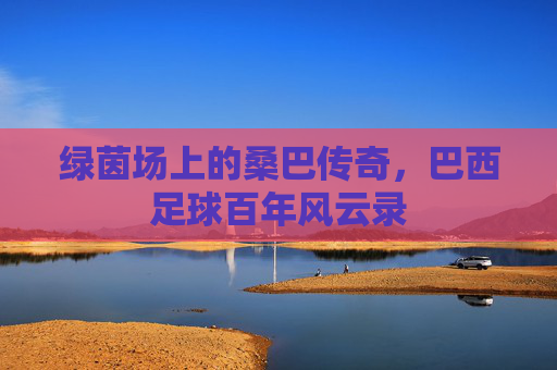 绿茵场上的桑巴传奇,巴西足球百年风云录