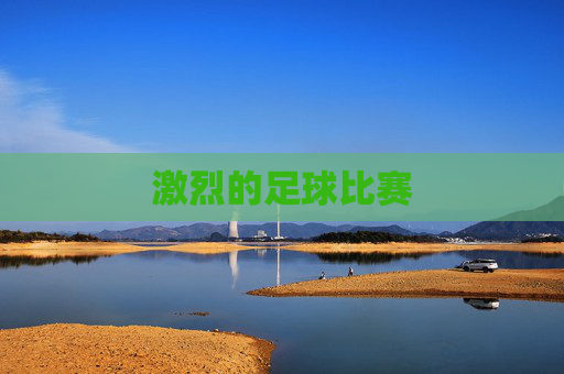 激烈的足球比赛