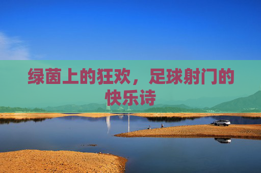 绿茵上的狂欢,足球射门的快乐诗