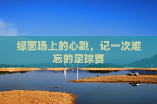 绿茵场上的心跳,记一次难忘的足球赛