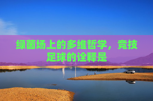 绿茵场上的多维哲学,竞技足球的诠释是